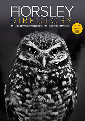 The Horsley Directory Issue 125