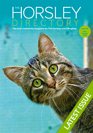 The Horsley Directory Issue 131